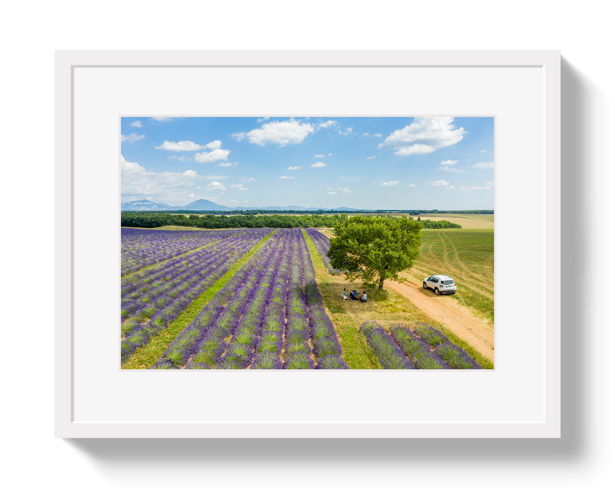 Provence Picnic by Johnny Vacay - product image 2 for Resin Society
