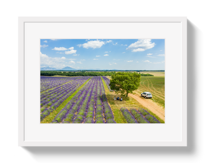 Provence Picnic by Johnny Vacay - product image 2 for Resin Society