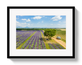 Provence Picnic by Johnny Vacay - main product image for Resin Society