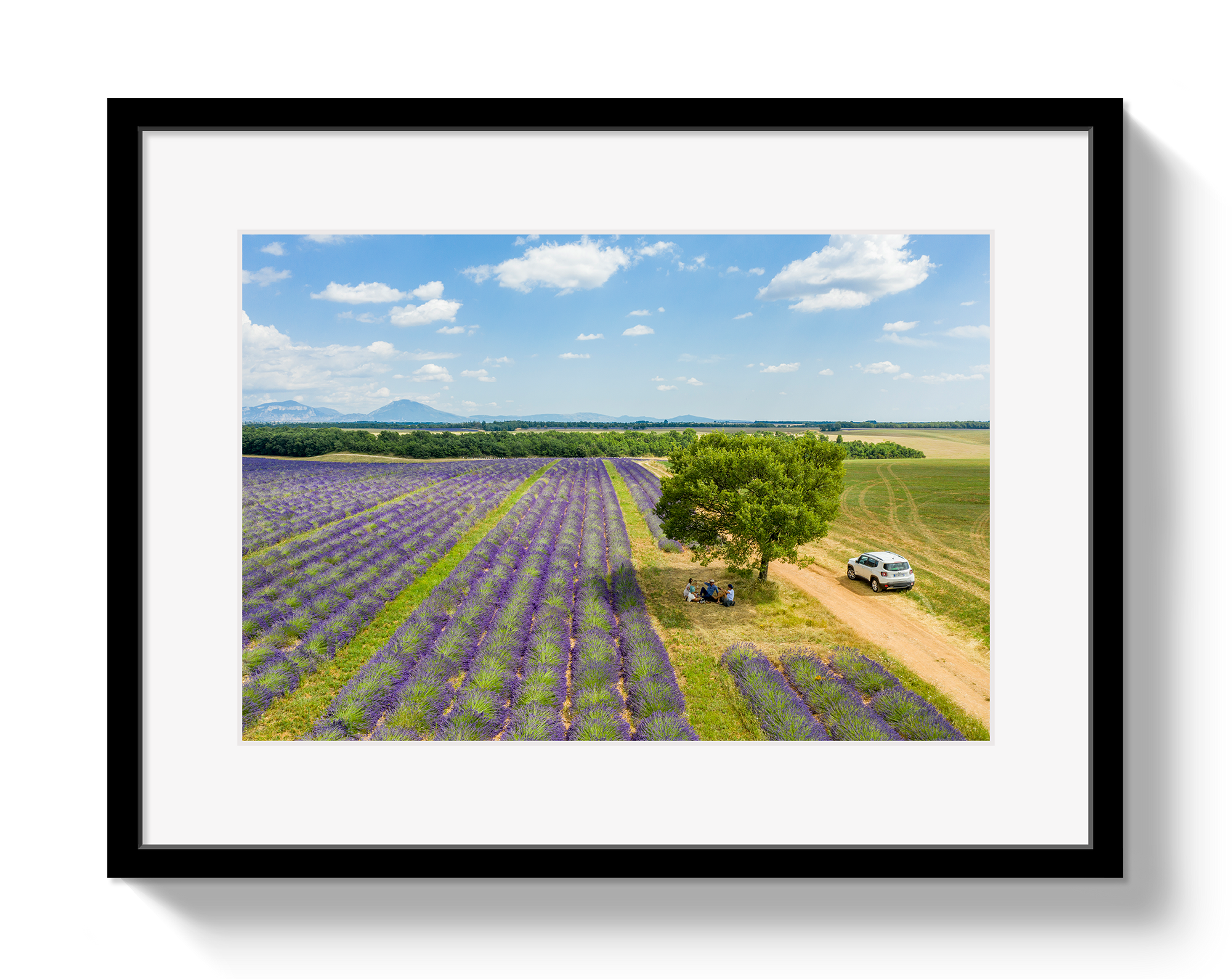 Provence Picnic by Johnny Vacay - main product image for Resin Society