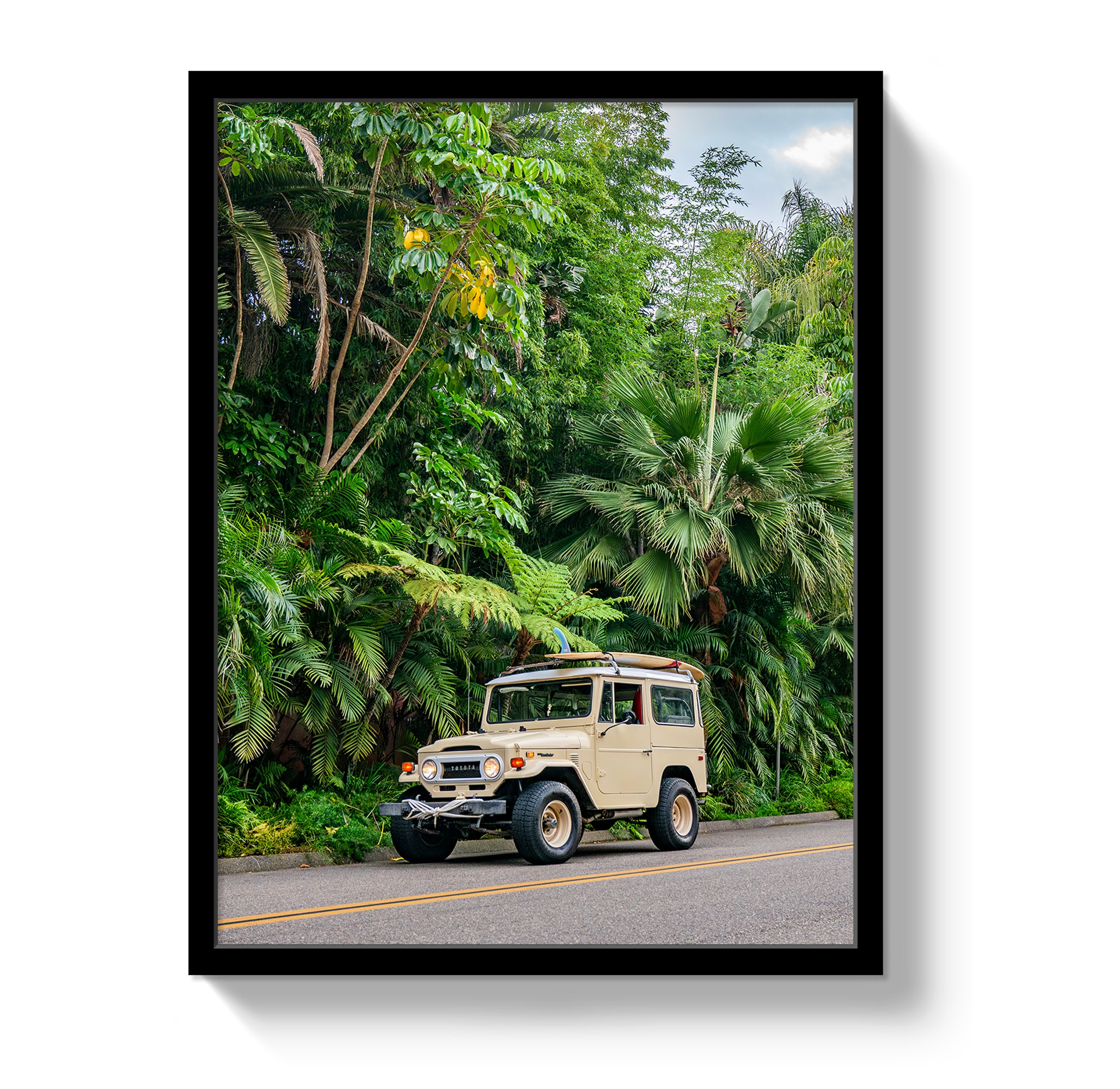 Tropical FJ 2 by Johnny Vacay - product image 4 for Resin Society