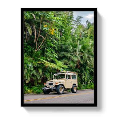 Tropical FJ 2 by Johnny Vacay - product image 4 for Resin Society