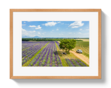 Provence Picnic by Johnny Vacay - product image 3 for Resin Society