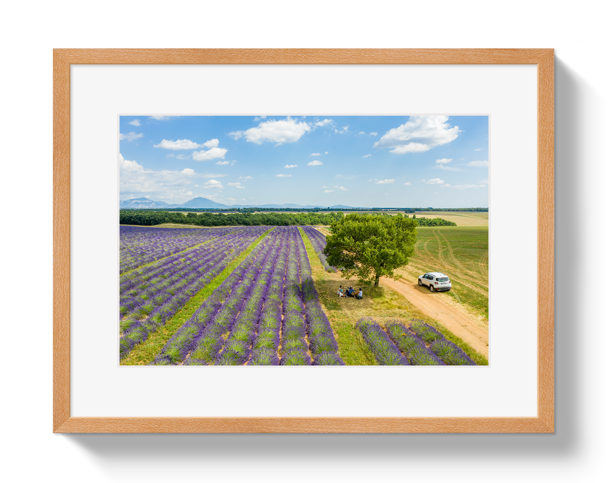 Provence Picnic by Johnny Vacay - product image 3 for Resin Society