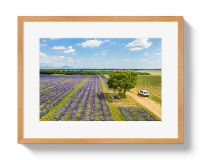 Provence Picnic by Johnny Vacay - product image 3 for Resin Society