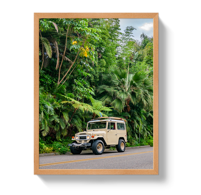 Tropical FJ 2 by Johnny Vacay - product image 6 for Resin Society