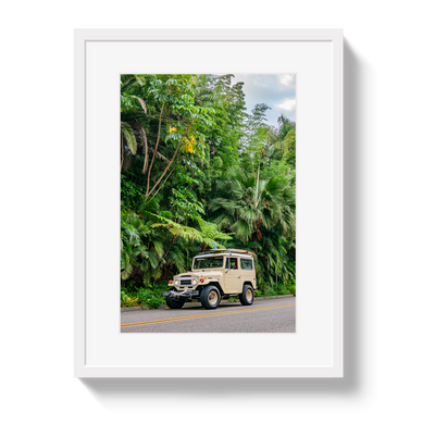 Tropical FJ 2 by Johnny Vacay - product image 2 for Resin Society