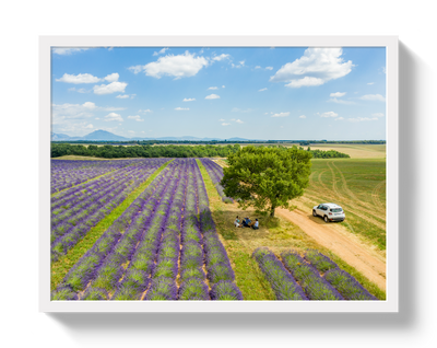 Provence Picnic by Johnny Vacay - product image 5 for Resin Society