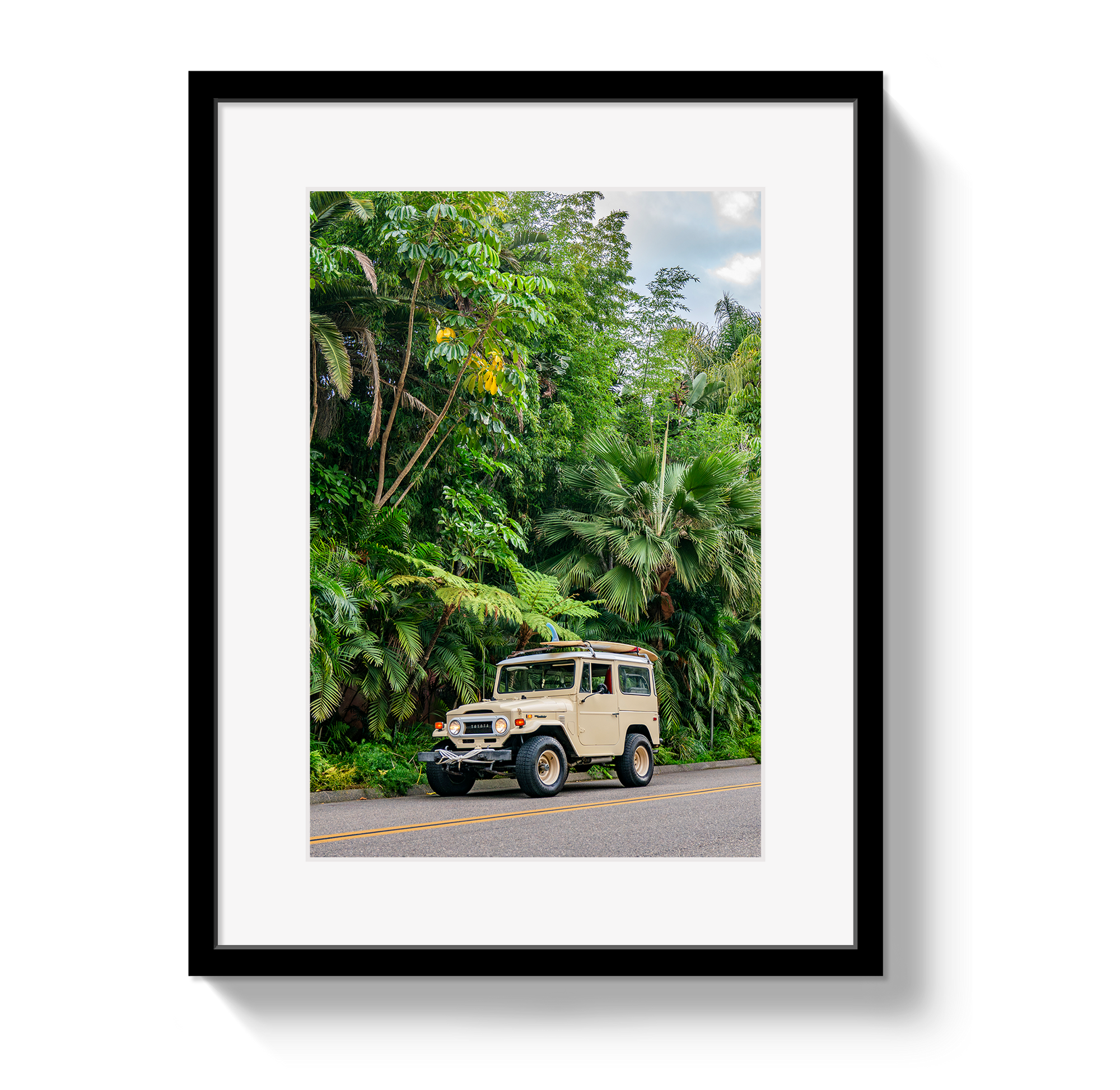Tropical FJ 2 by Johnny Vacay - main product image for Resin Society