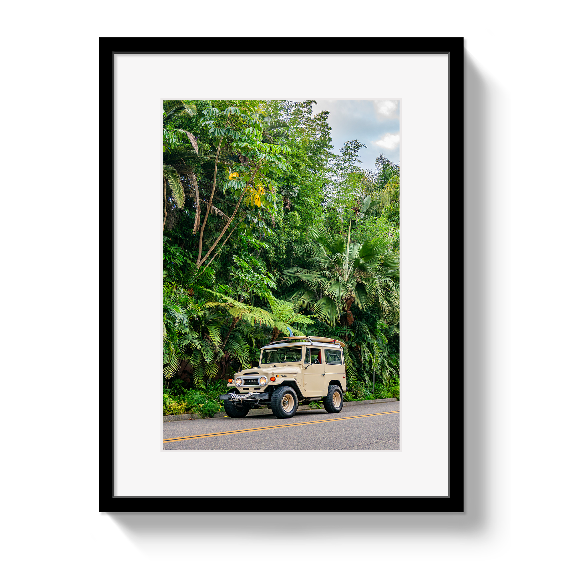 Tropical FJ 2 by Johnny Vacay - main product image for Resin Society