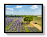 Provence Picnic by Johnny Vacay - product image 4 for Resin Society