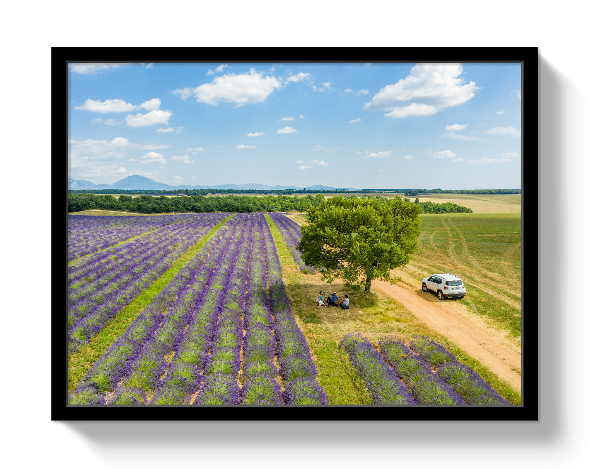 Provence Picnic by Johnny Vacay - product image 4 for Resin Society