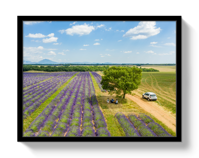 Provence Picnic by Johnny Vacay - product image 4 for Resin Society