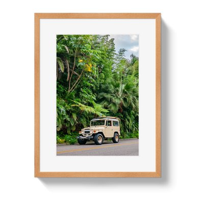 Tropical FJ 2 by Johnny Vacay - product image 3 for Resin Society