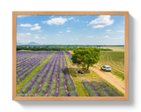 Provence Picnic by Johnny Vacay - product image 6 for Resin Society