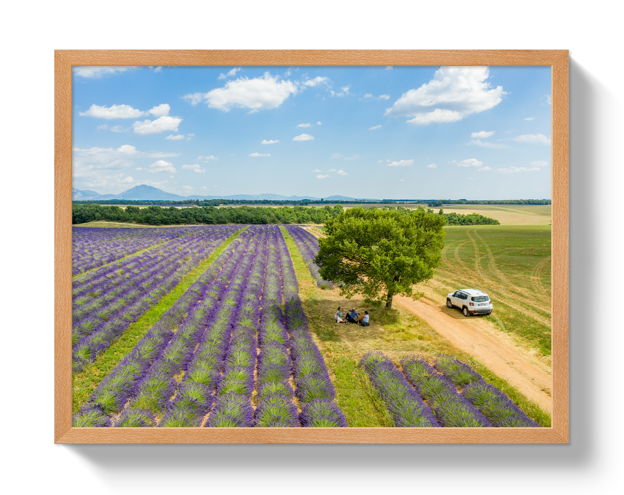Provence Picnic by Johnny Vacay - product image 6 for Resin Society