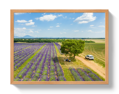 Provence Picnic by Johnny Vacay - product image 6 for Resin Society
