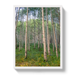 Aspen Grove by Johnny Vacay - product image 5 for Resin Society