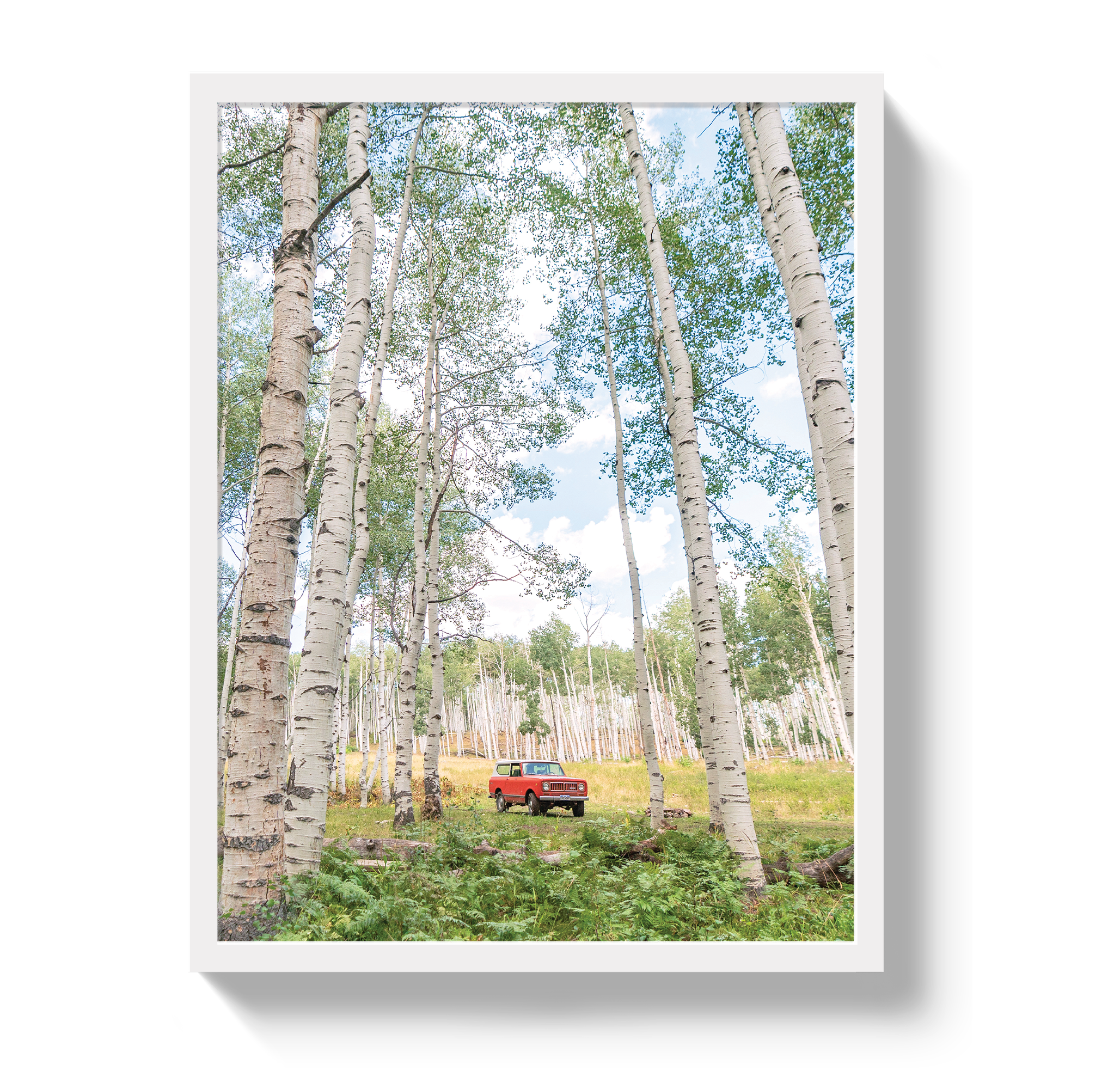 Aspen Scout by Johnny Vacay - product image 5 for Resin Society
