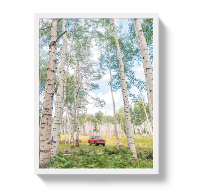 Aspen Scout by Johnny Vacay - product image 5 for Resin Society