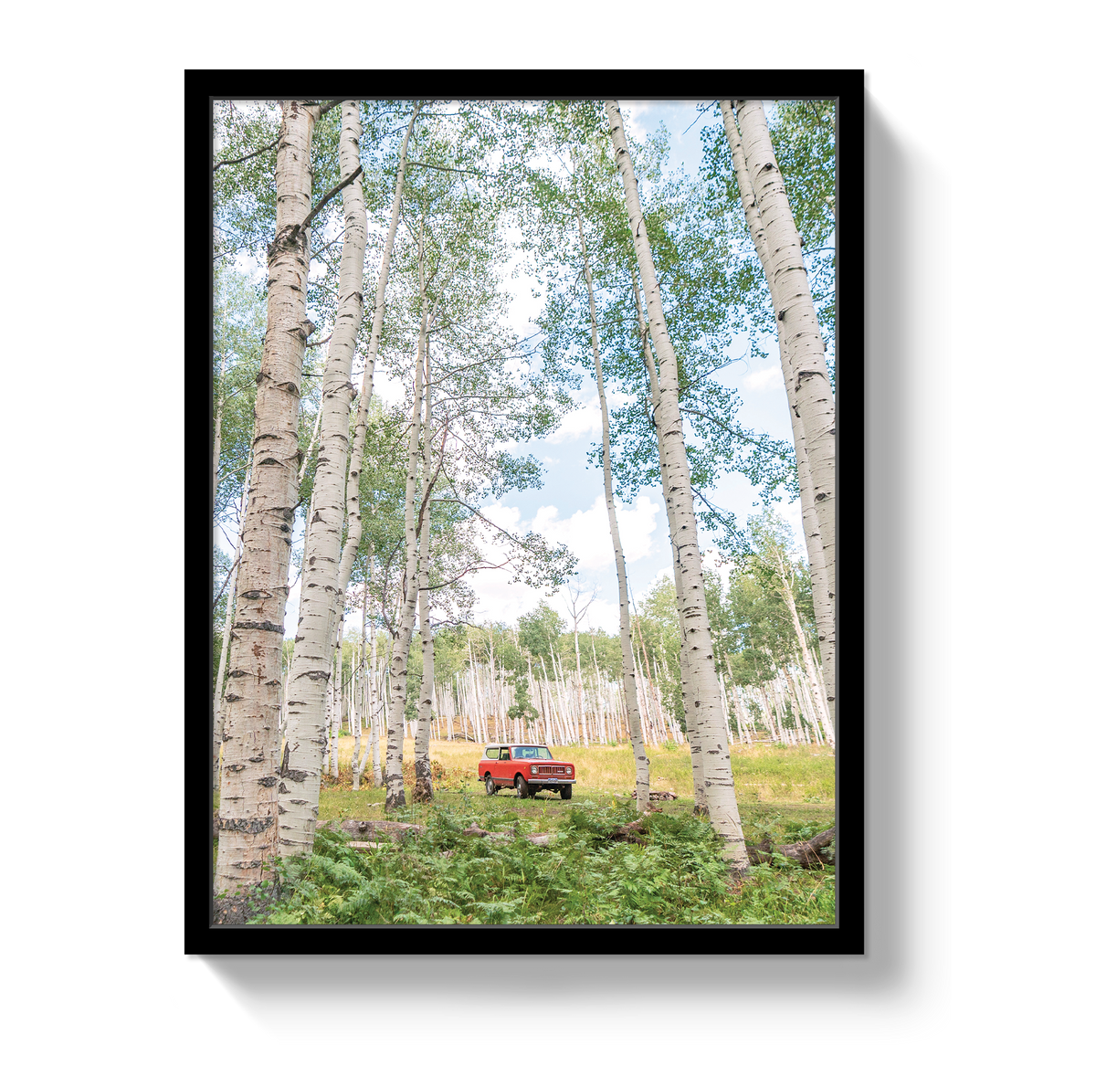 Aspen Scout by Johnny Vacay - product image 4 for Resin Society