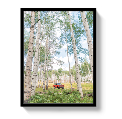 Aspen Scout by Johnny Vacay - product image 4 for Resin Society