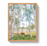 Aspen Scout by Johnny Vacay - product image 6 for Resin Society