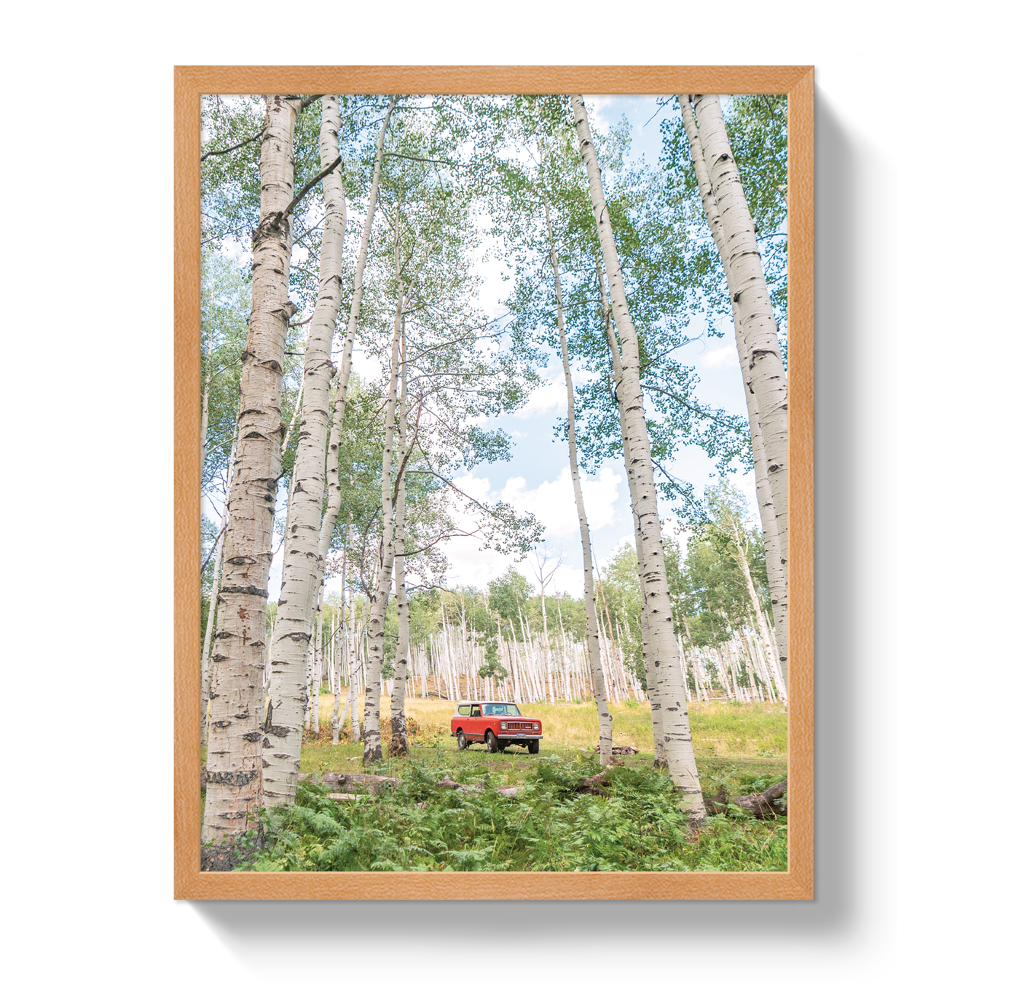 Aspen Scout by Johnny Vacay - product image 6 for Resin Society