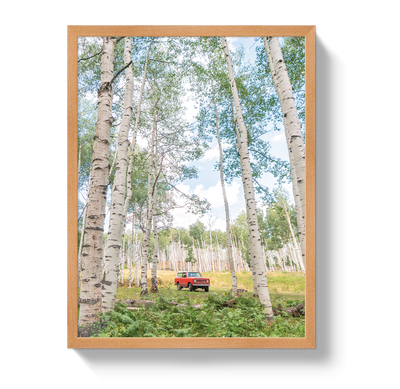 Aspen Scout by Johnny Vacay - product image 6 for Resin Society