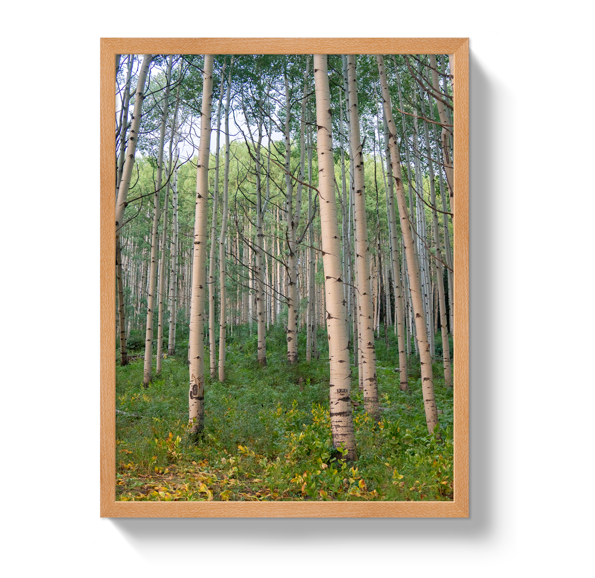 Aspen Grove by Johnny Vacay - product image 6 for Resin Society