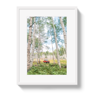 Aspen Scout by Johnny Vacay - product image 2 for Resin Society