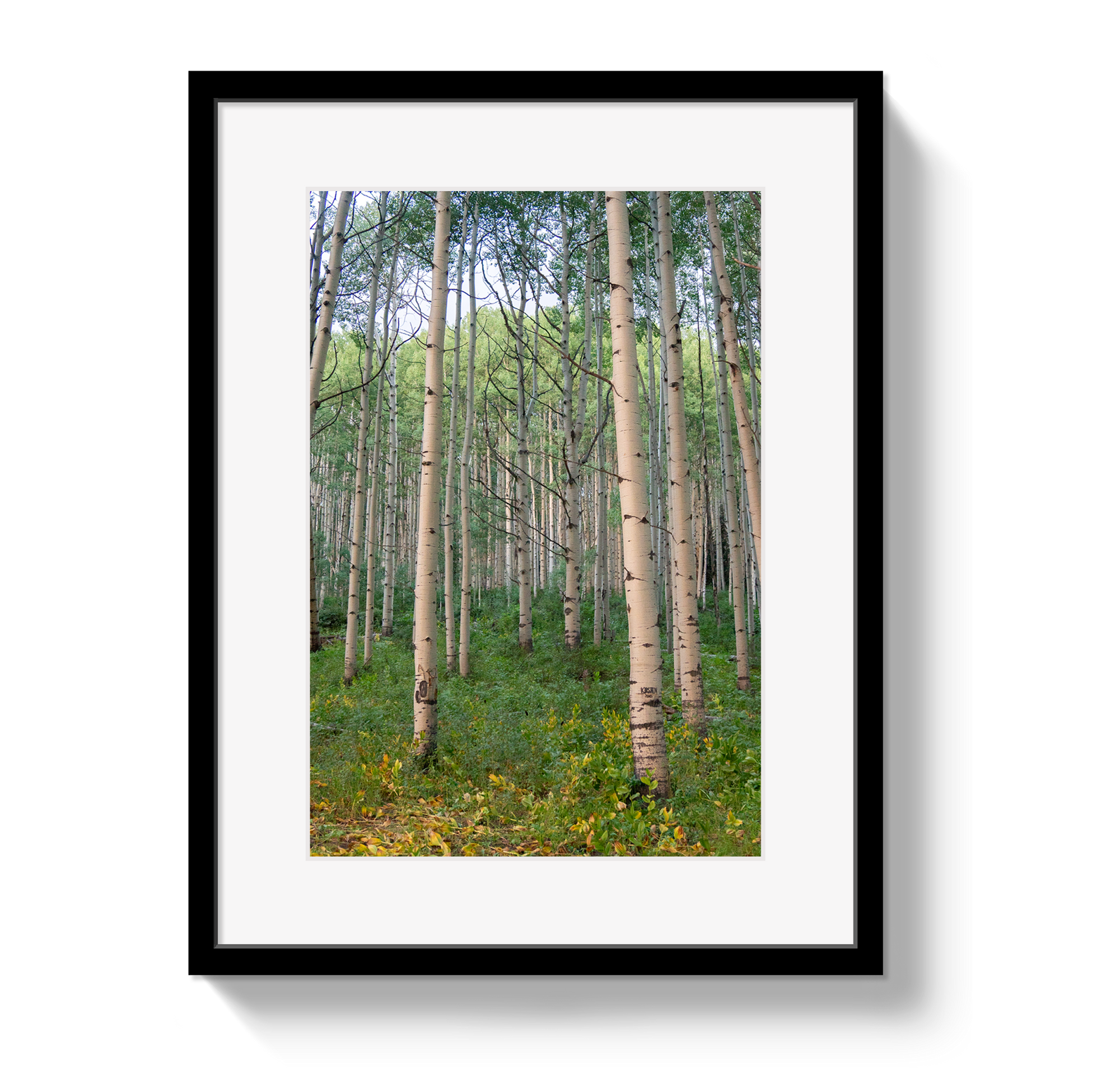 Aspen Grove by Johnny Vacay - main product image for Resin Society
