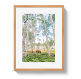 Aspen Scout by Johnny Vacay - product image 3 for Resin Society