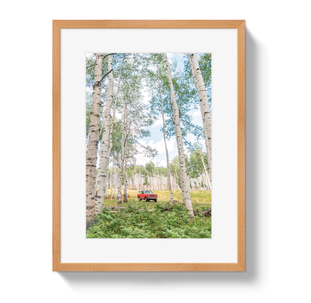 Aspen Scout by Johnny Vacay - product image 3 for Resin Society