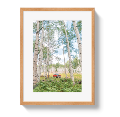 Aspen Scout by Johnny Vacay - product image 3 for Resin Society