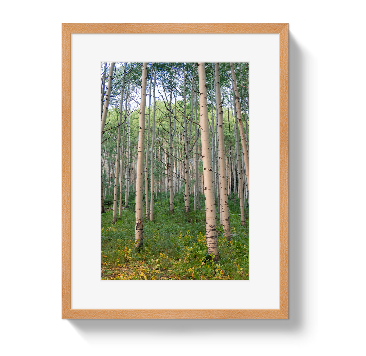 Aspen Grove by Johnny Vacay - product image 3 for Resin Society