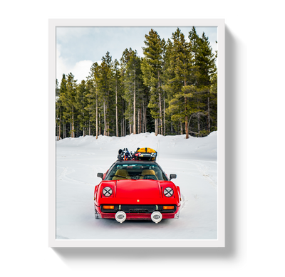 Ski Racer by Johnny Vacay - product image 5 for Resin Society