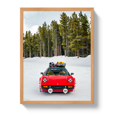Ski Racer by Johnny Vacay - product image 6 for Resin Society