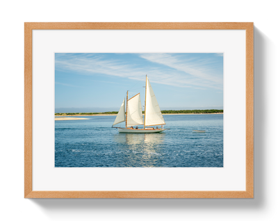 Full Sail by Johnny Vacay - product image 3 for Resin Society