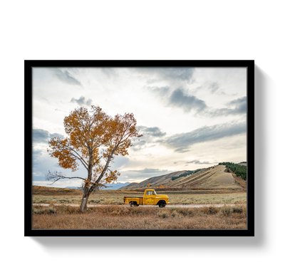 Jackson Hole Pickup by Johnny Vacay - product image 4 for Resin Society