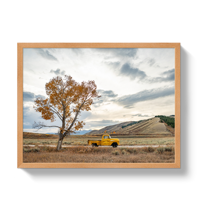 Jackson Hole Pickup by Johnny Vacay - product image 6 for Resin Society