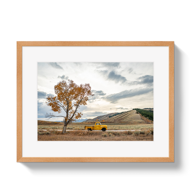 Jackson Hole Pickup by Johnny Vacay - product image 3 for Resin Society