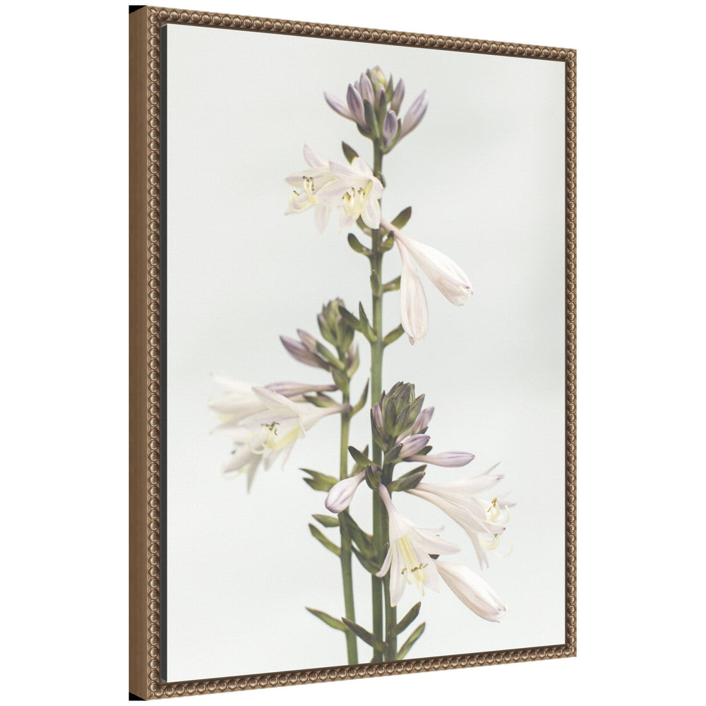 Sylvie Hosta Framed Canvas floral art print with vintage beaded white frame