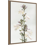 Sylvie Hosta Framed Canvas floral art print with vintage beaded white frame