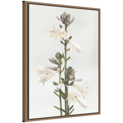 Sylvie Hosta Framed Canvas floral art print with vintage beaded white frame