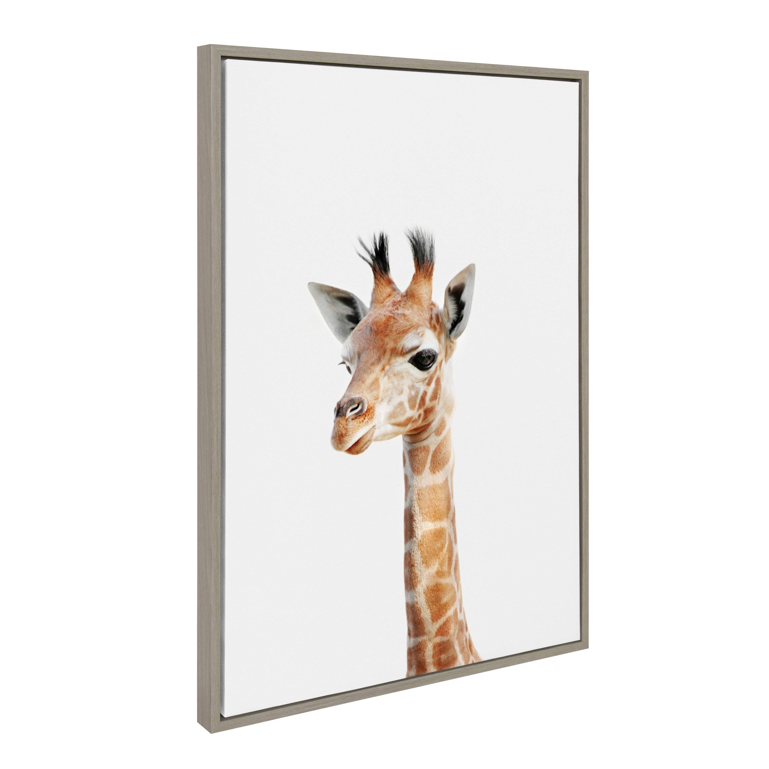 Sylvie Baby Giraffe Framed Canvas by Amy Peterson by kateandlaurel - product image 20 for Resin Society
