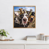 Close-up selfie of nine dogs with different fur colors and happy expressions against a blue sky and grassy background in a square wooden frame.