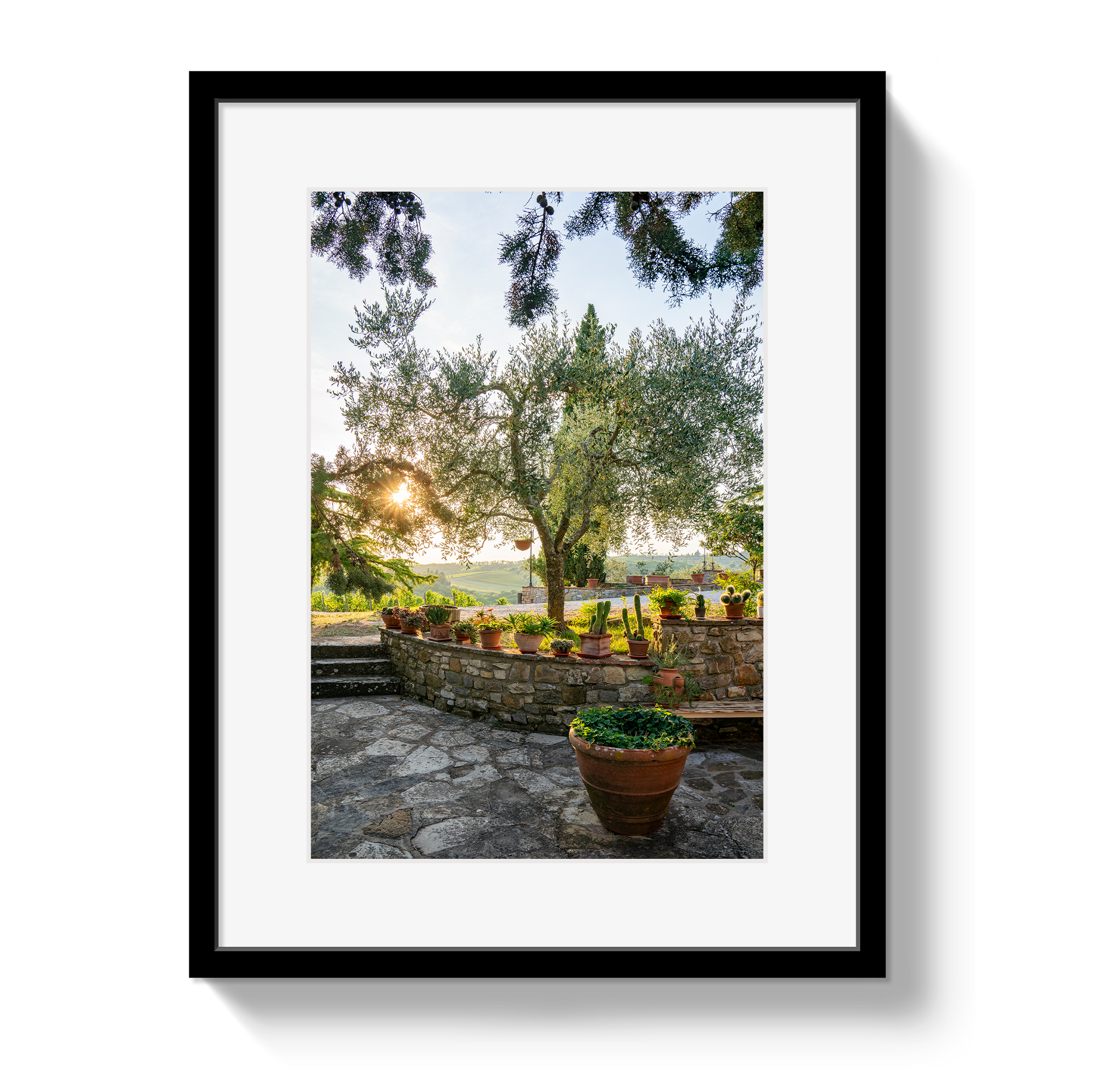 Garden View by Johnny Vacay - main product image for Resin Society