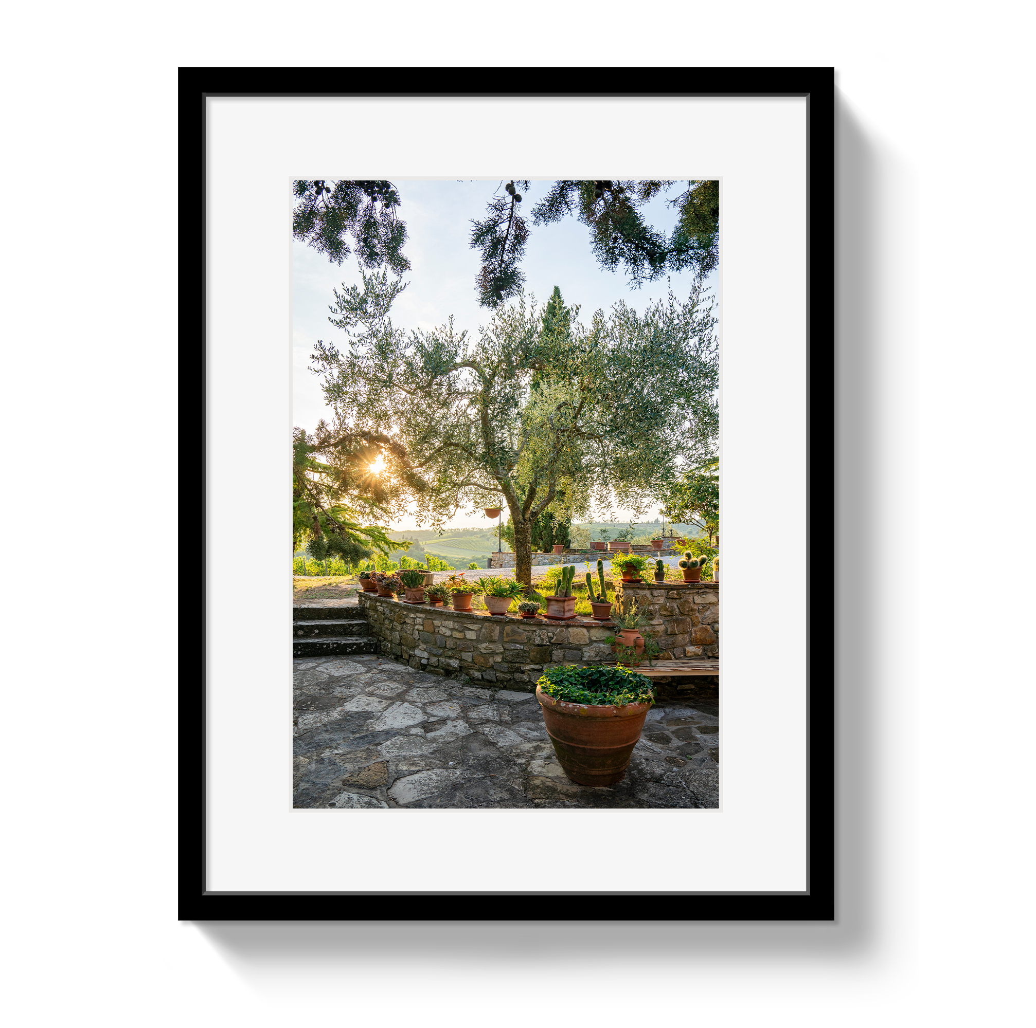 Garden View by Johnny Vacay - main product image for Resin Society