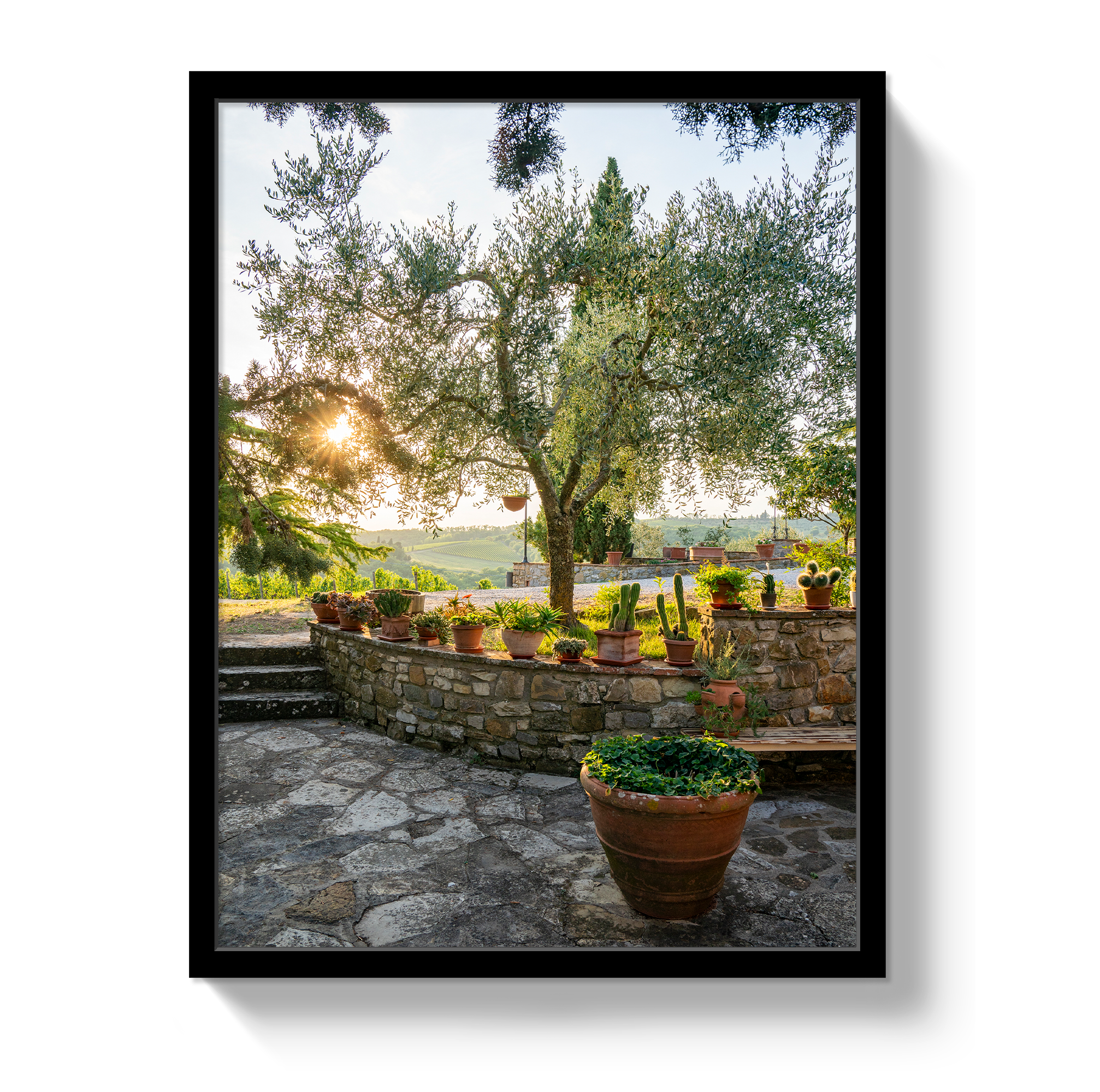 Garden View by Johnny Vacay - product image 4 for Resin Society